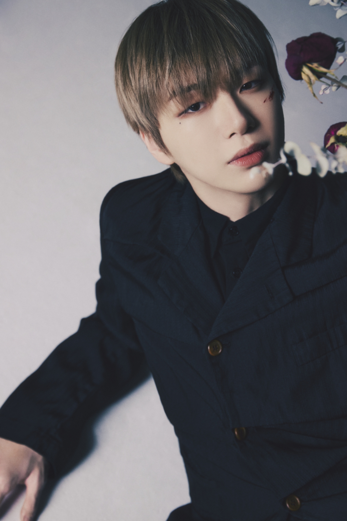 /사진제공=ARA