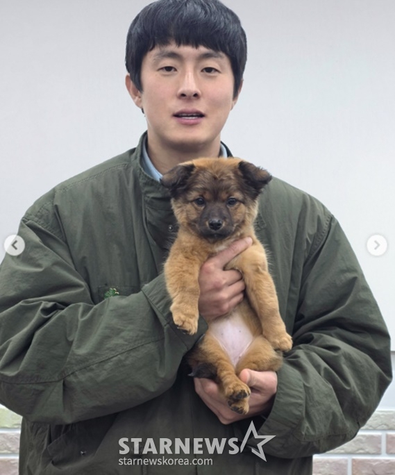 起案84./写真=犬の保護所 