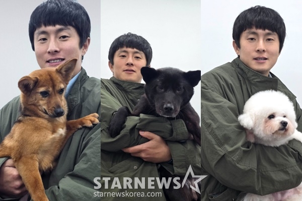 起案84/写真=犬の保護所