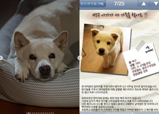 /Фото = Личный кабинет Ли Сан Суна