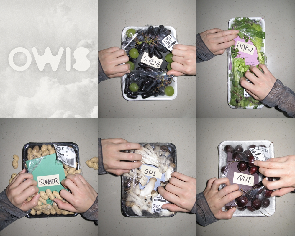 OWIS / Photo courtesy =AMA