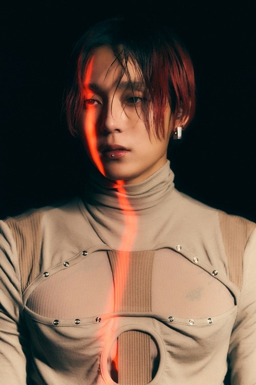 /Фото =Зарядье для собак