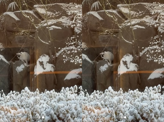 /Photo = Lee Min-jung's personal account