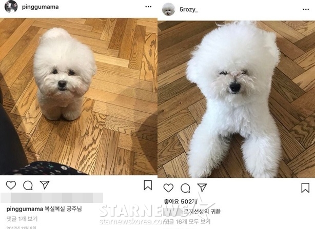 /Photo = Yellow purple, Cha Jung-won Instagram