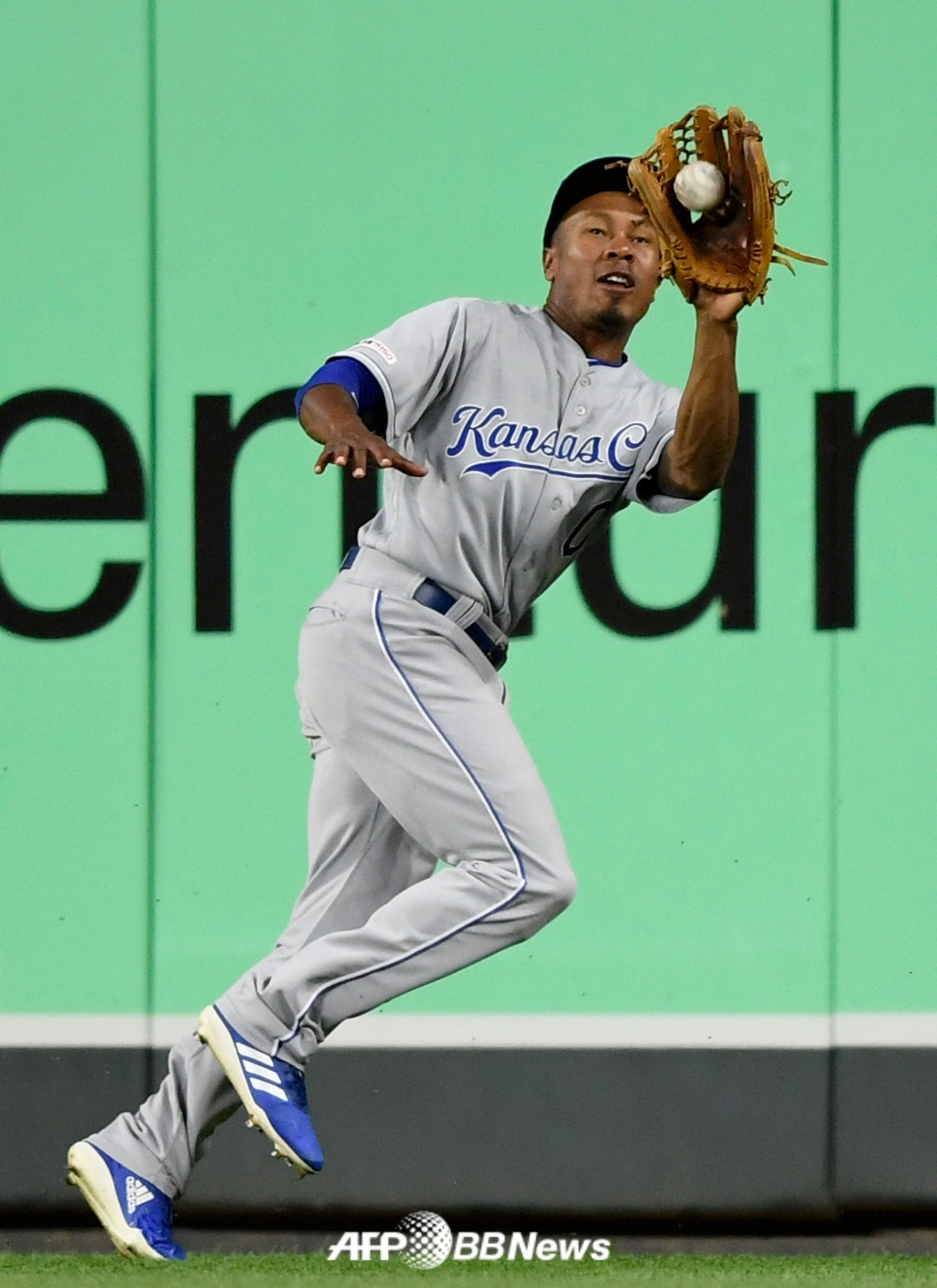 2019年の故テレンス·ゴアの姿。 /AFPBBNews=ニュース1