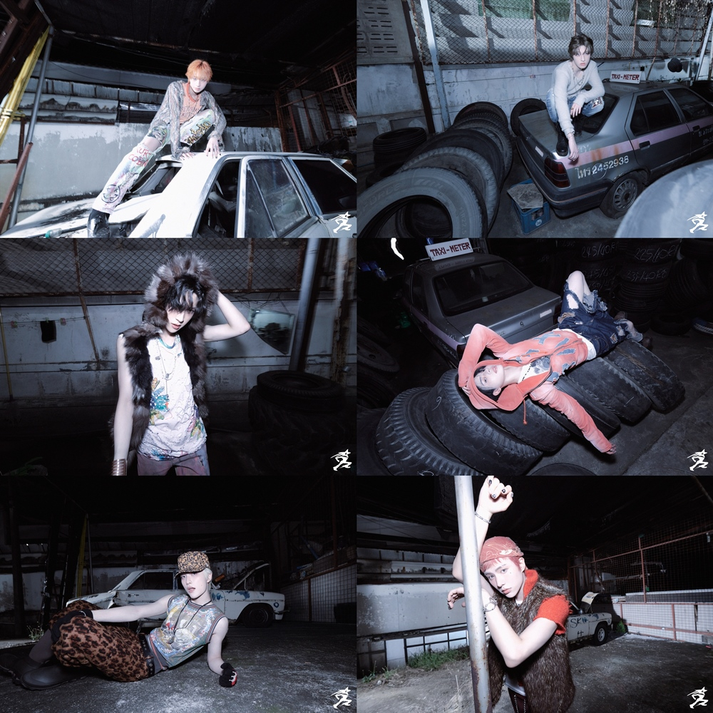 =照片제공ODWAVE（ODDWAVE）  