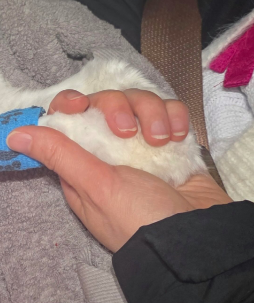 /Ảnh = Tài khoản cá nhân của Kim Gyu Ri