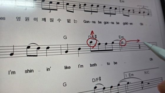 =照片제공里夫加。