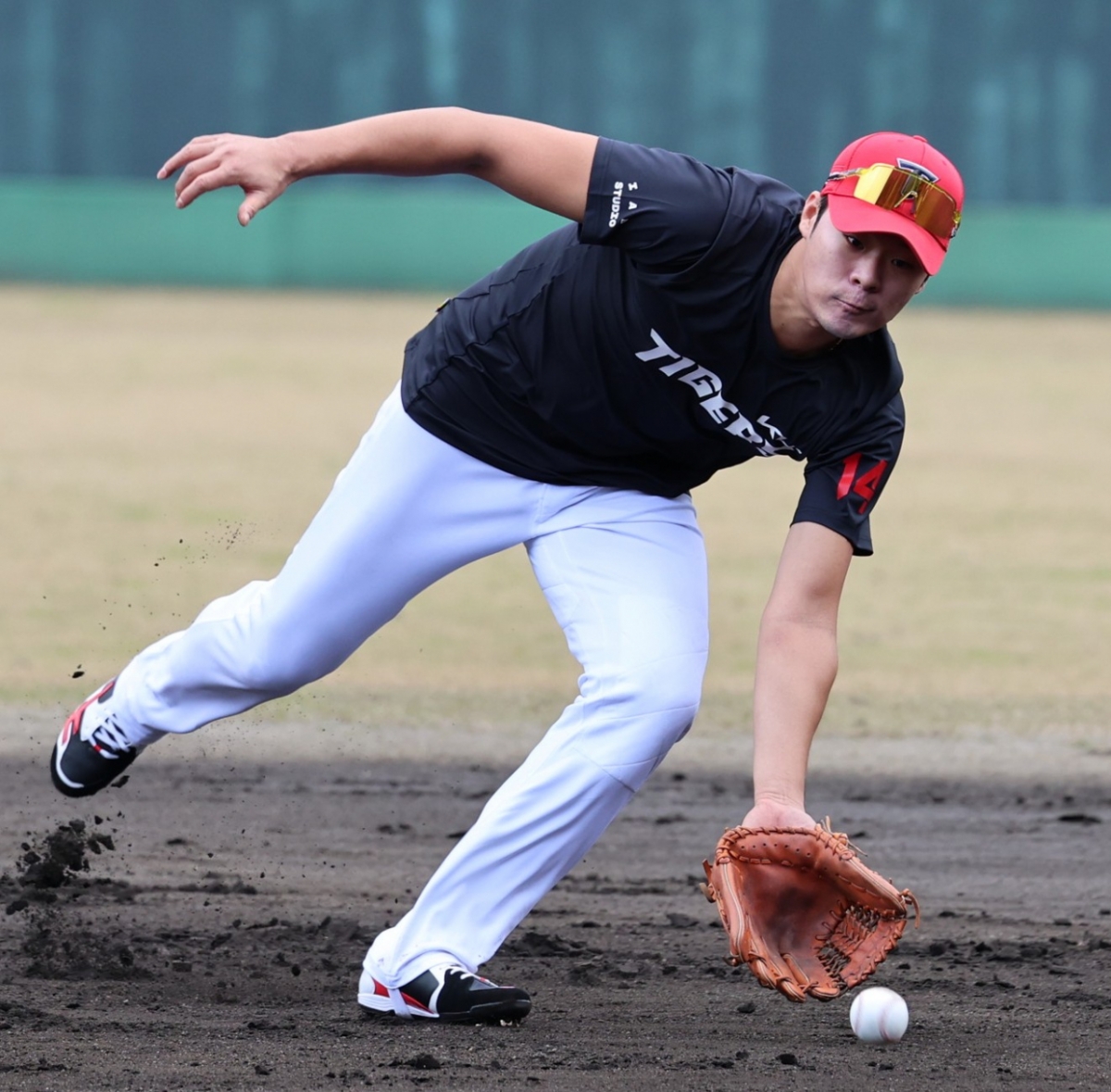 =起亚老虎队成员金圭成。