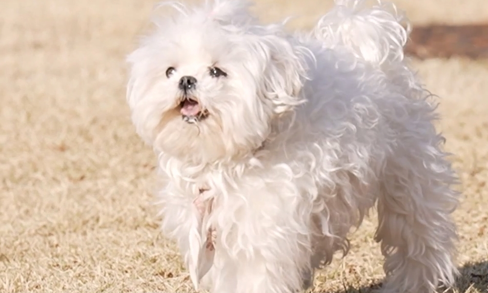 照片=MBC《我独自生活》。