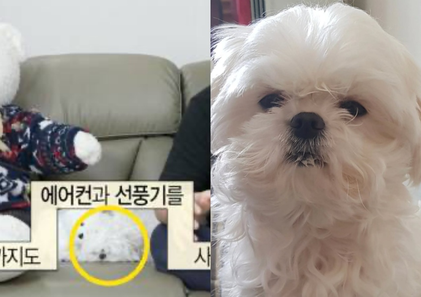 Kkotbun/photograph = MBC broadcast screen, Sung Won-hwan SNS