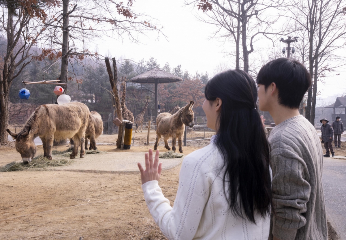 爱宝乐园 "迷失谷步行狩猎"