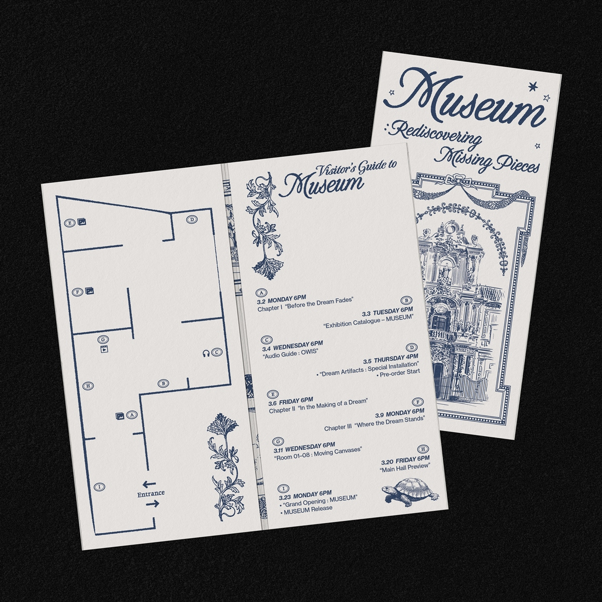 =照片제공ama。