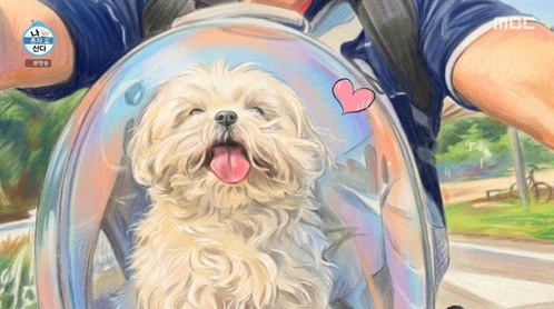 /Photo = MBC 'I Live Alone'