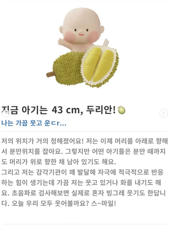 /Photo = Kim Soyoung SNS
