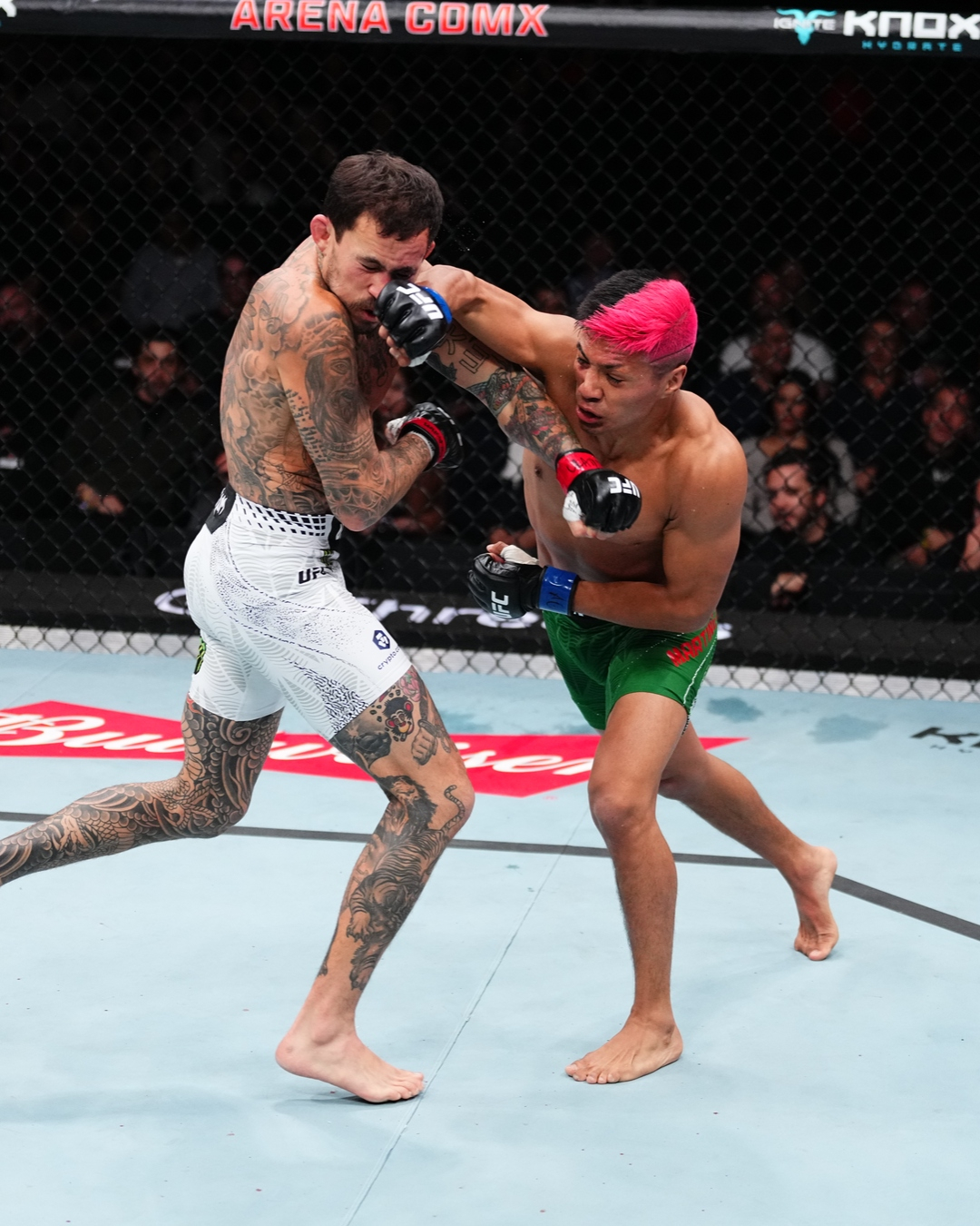 David Martinez (phải) đang tung một cú móc phải. /Ảnh = Dịch vụ mạng xã hội chính thức UFC (SNS)