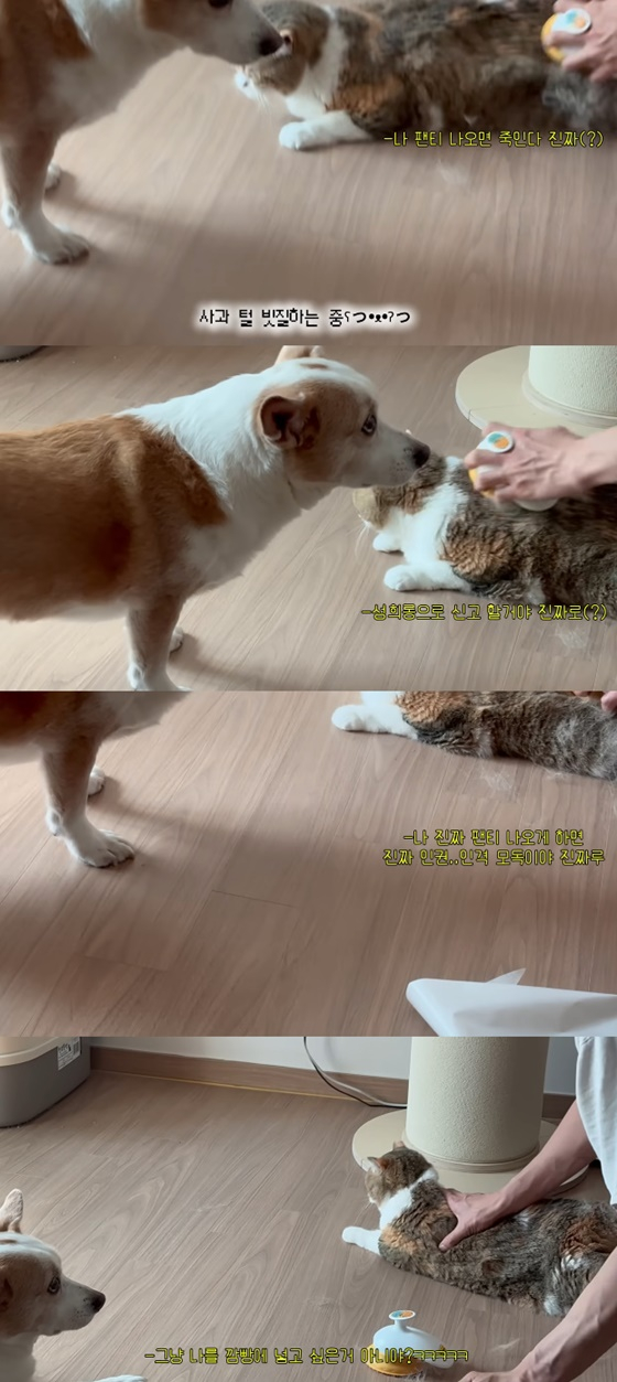 /Photo = Kim Ga-eun YouTube