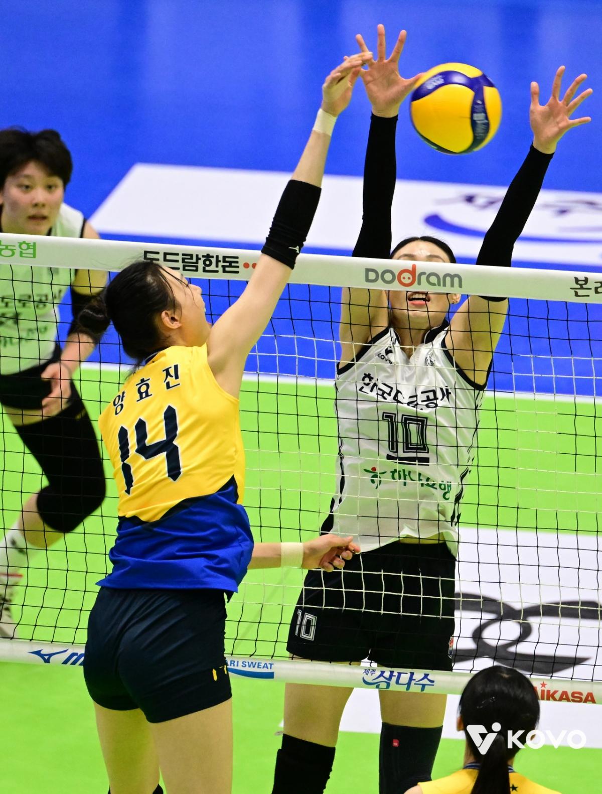 这是上赛季梁孝真和裴有娜的对决。 =图为，韩国排球联盟提供。