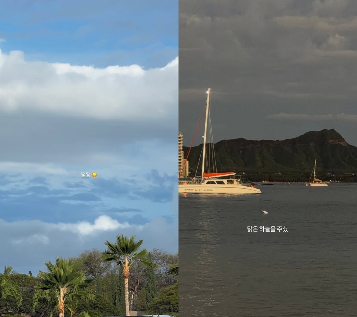 /Photo = Cha Jung-won SNS