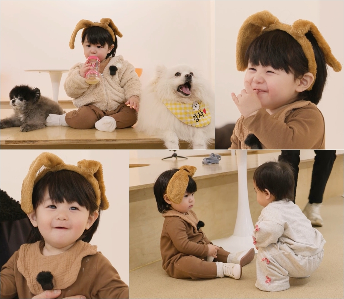 /Cung cấp ảnh = KBS 2TV