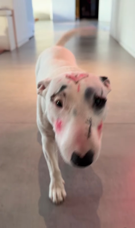 /写真=イ·ヘヨン個人アカウント