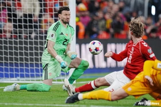 Denmark and North Macedonia in a European D-pass match at the North-China World Cup. /AFPBBNews=News1