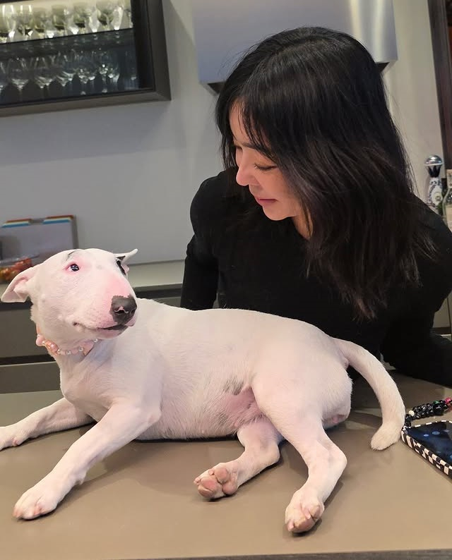 /Ảnh = Tài khoản cá nhân của Lee Hye Young