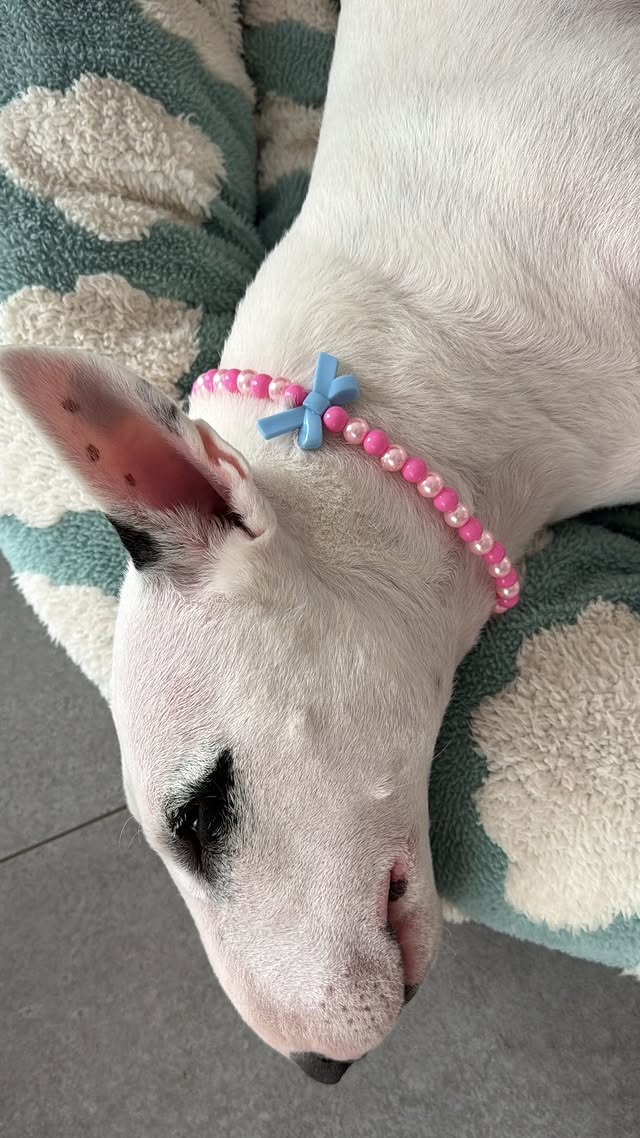 /Ảnh = Tài khoản cá nhân của Lee Hye Young