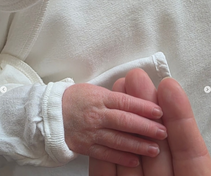 =照片:猫咪作家的SNS。