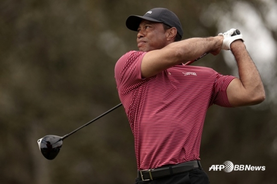 Hình ảnh Tiger Woods vung vẩy hồi tháng 12/2024. /AFPBBNews = Tin tức 1