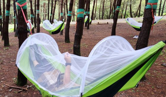 /Фото предоставлено = Kangwon Land