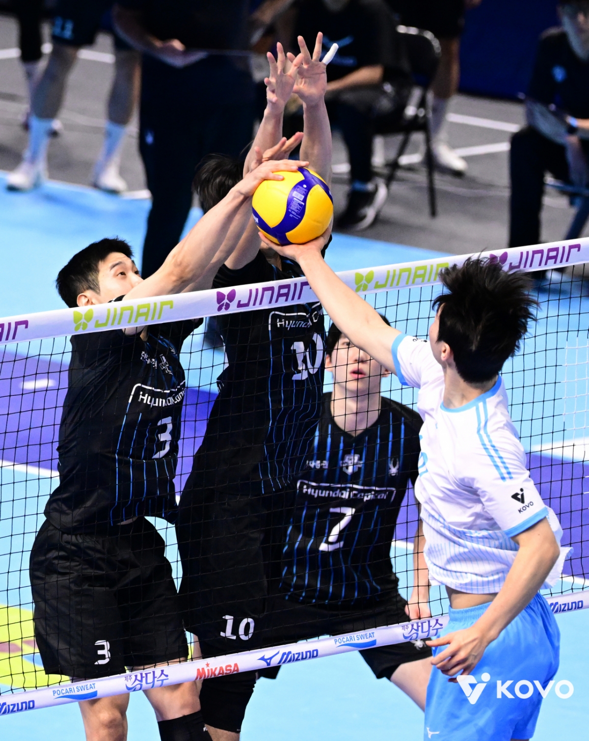 A look at the economy between Hyundai Capital and Korean Air. /Photo = Courtesy of the Korea Volleyball Federation