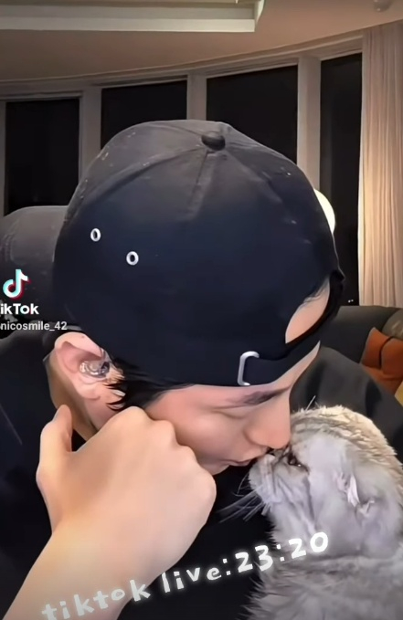 =照片=朴施厚在照片墙上传照片墙。