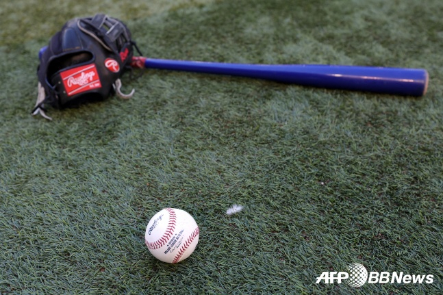 Wooden bat. /AFPBBNews=News1