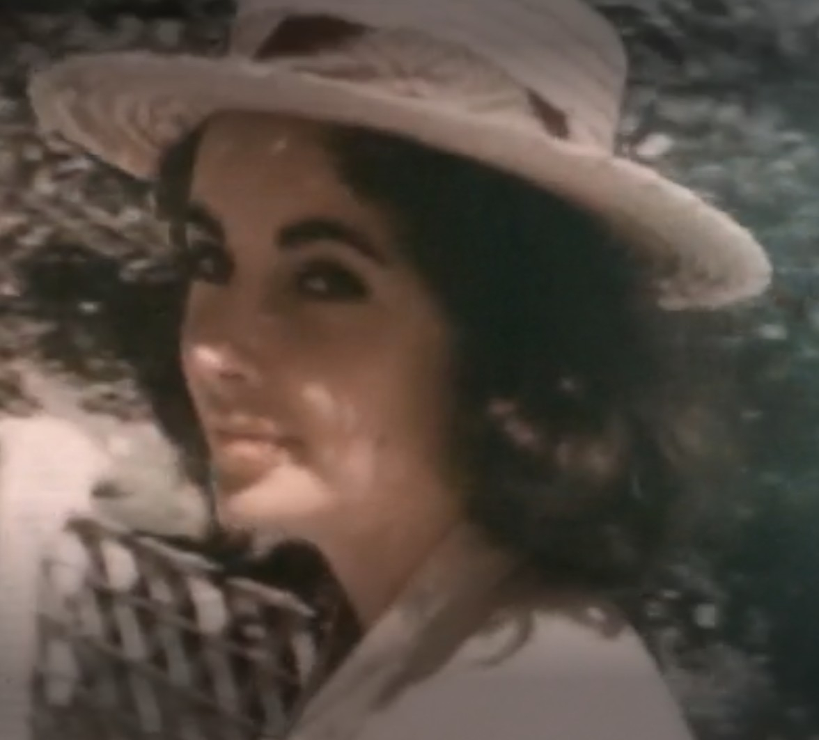 Музыкальное видео на сингл «Elizabeth Taylor»
