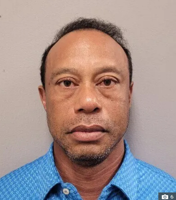  Tiger Woods (cầu thủ bóng đá) /Ảnh = The Sun Galmuri