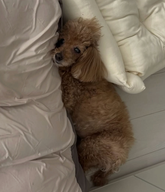 /写真=イ·スミンSNS