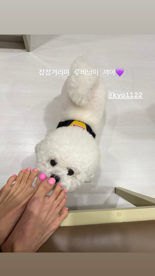 /Ảnh = SNS của Jo Yeo Jung 