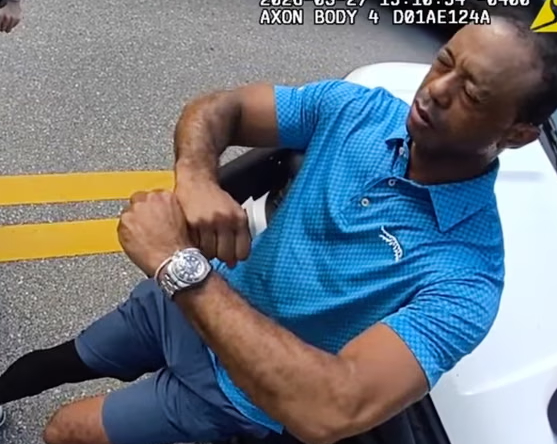 Tiger Woods just before his arrest. /Photo = Martin County Sheriff's Office