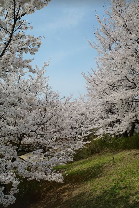 /Ảnh = Tài khoản cá nhân của Lee ARMY