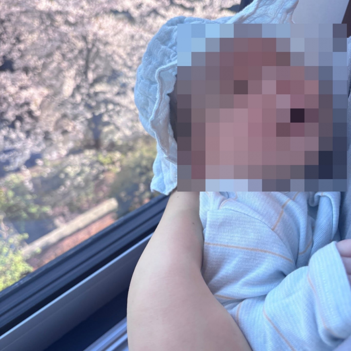 Ảnh = Instagram của Kwaktube