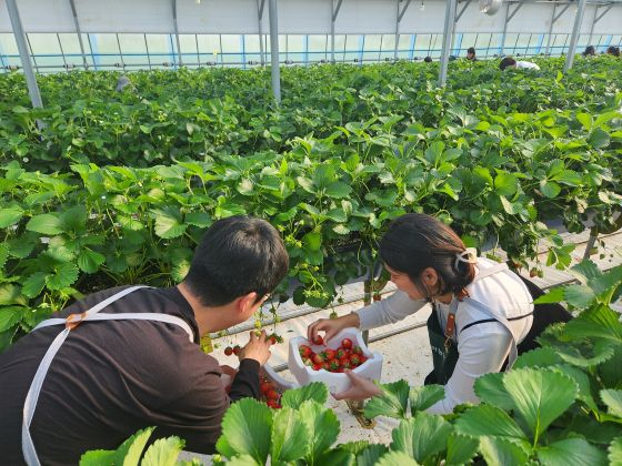 /photo courtesy = daily