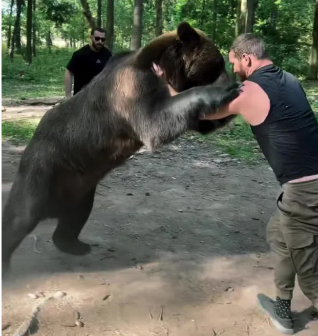 Giant boxer Aslanbeck Mahmoudov is training with the bear in grappling. /Photo = The Sun Source
