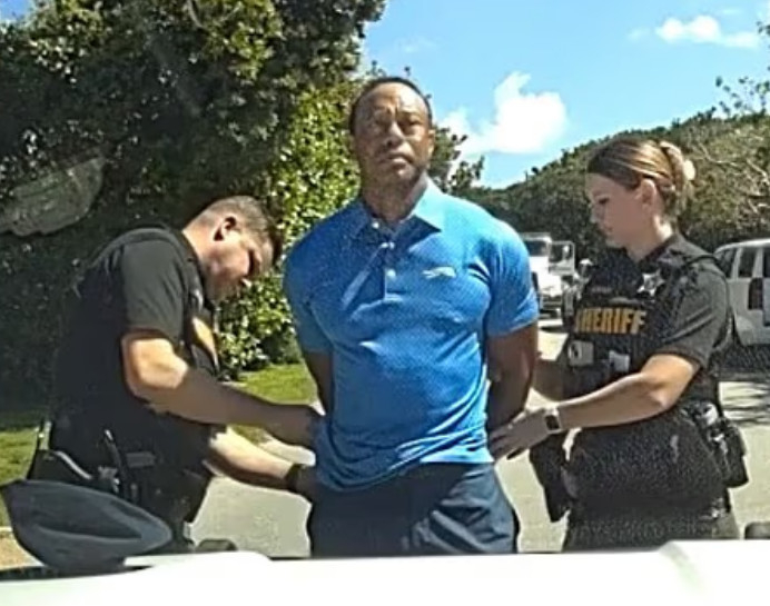 An image of Tiger Woods (center) being arrested by police./Picture = Daily Mail Source