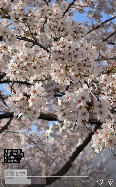 /Ảnh = SNS của Mr.Kim