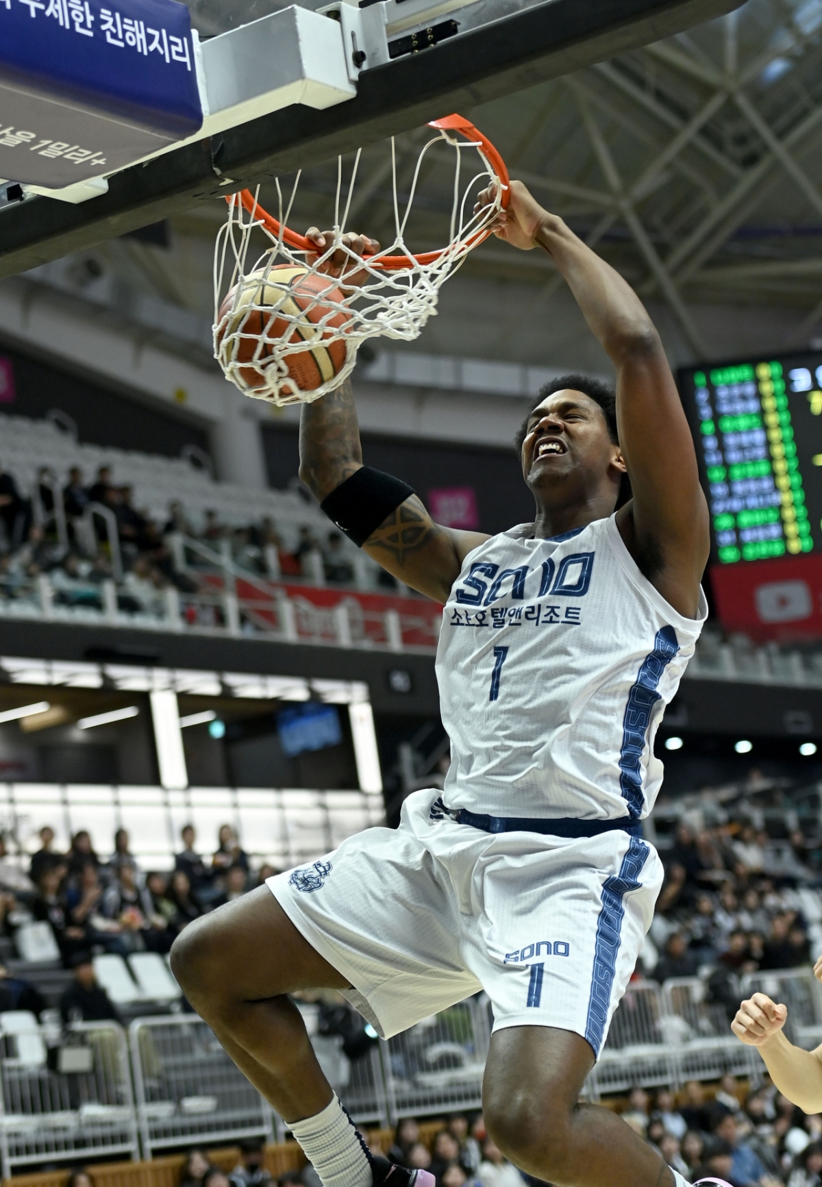 Кошачья соночь. /Фото = Предоставлено KBL.