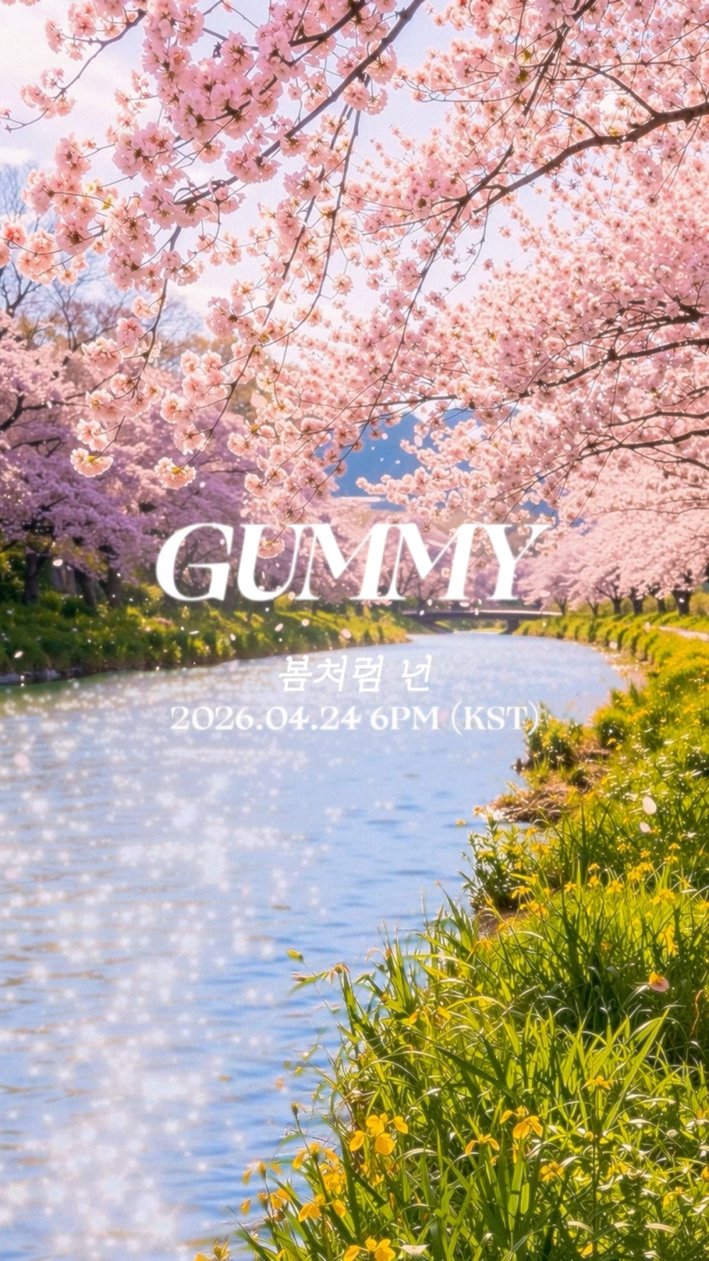 Photo courtesy = Amoeba Culture