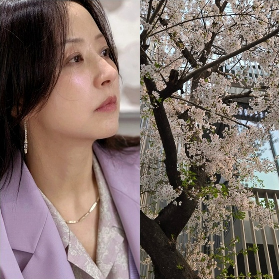 '암 극복' 서정희, 소식 뜸했던 이유 있었다.."母 입원, 지쳤고 힘들어"