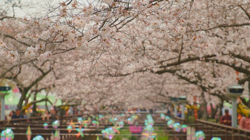 /写真=「ドキュメンタリー3日」