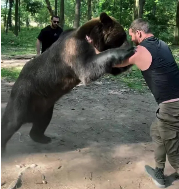 Giant boxer Aslanbeck Mahmoudov is training with the bear in grappling. /Photo = The Sun Source